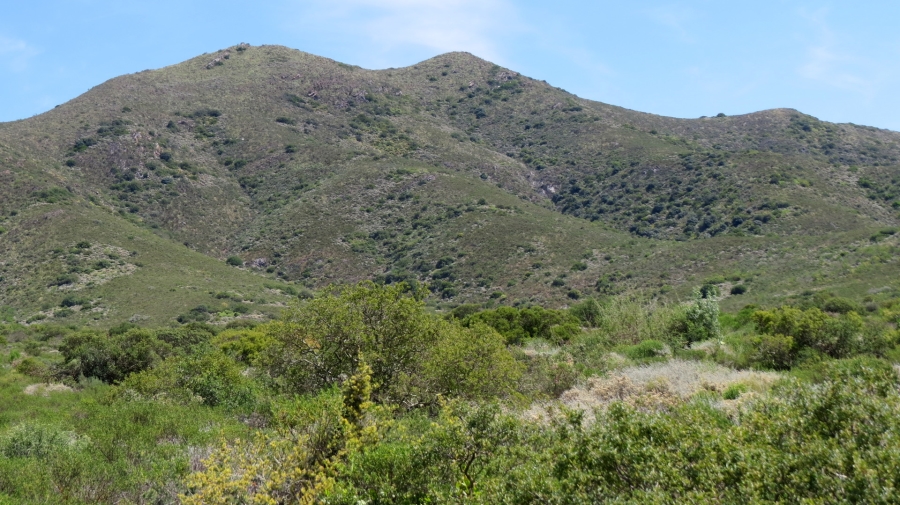 Commercial Property for Sale in Robertson Rural Western Cape